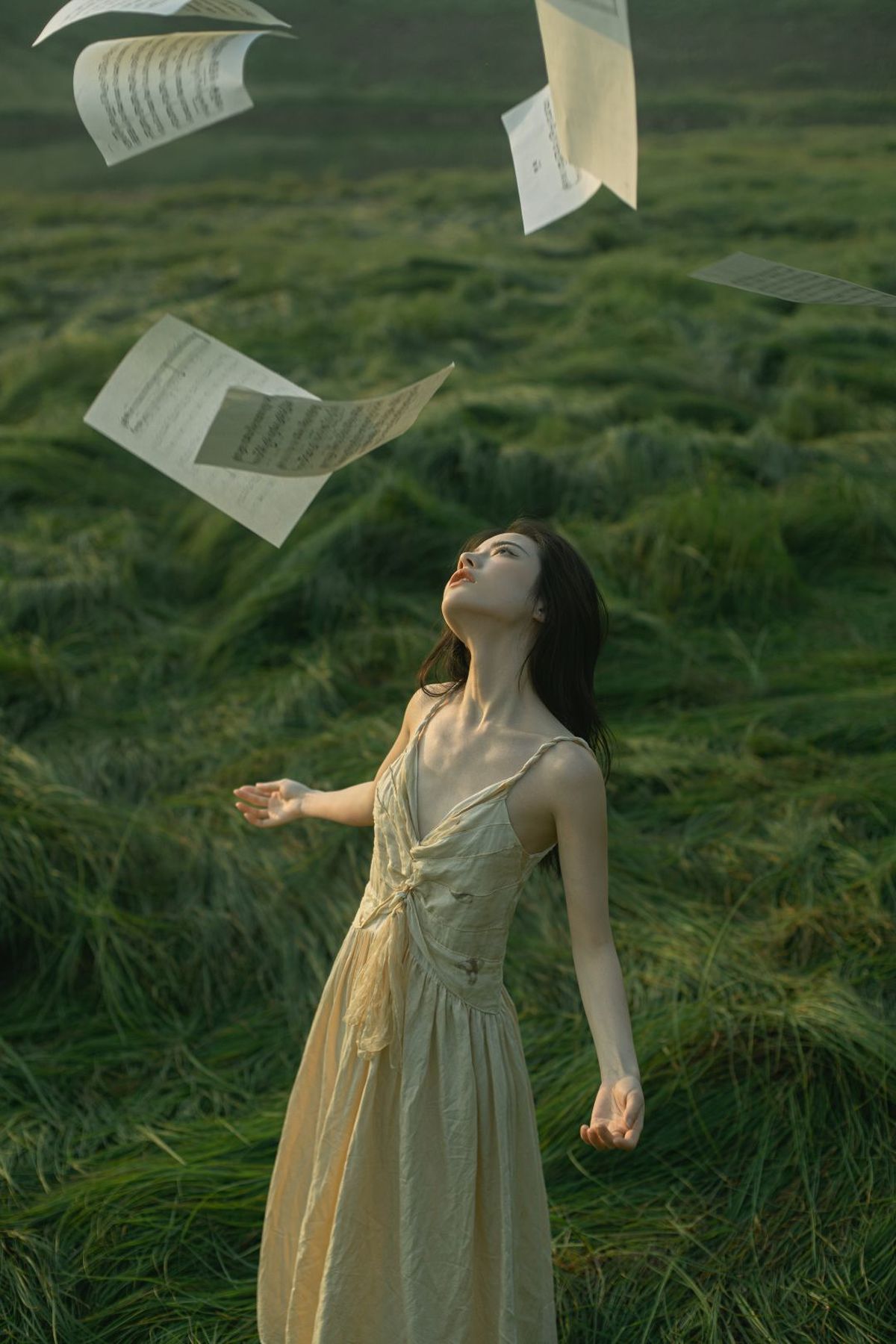 一位穿着连衣裙的女士站在绿色的草地上 抬头看着天空中的飞翔的鸟儿 手里拿着一本书。