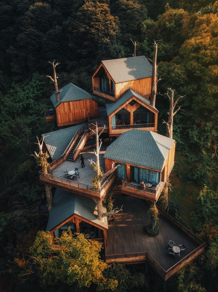 Tree house in the jungle