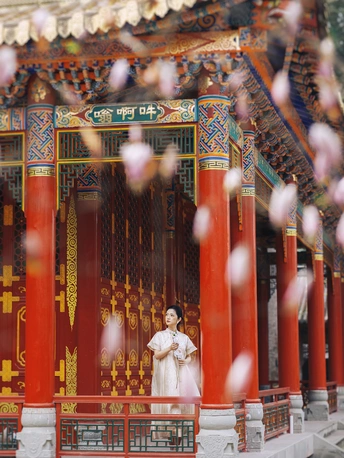 三圣寺｜玉兰树下，执念成诗🌸