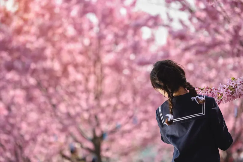一位年轻女子走过一朵盛开的粉色花朵的树