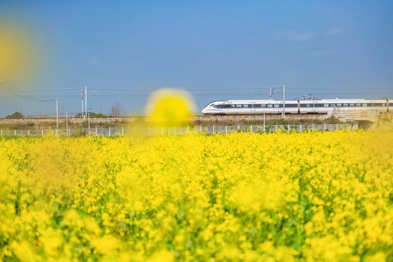 经过一片黄花的田野 一列火车驶过