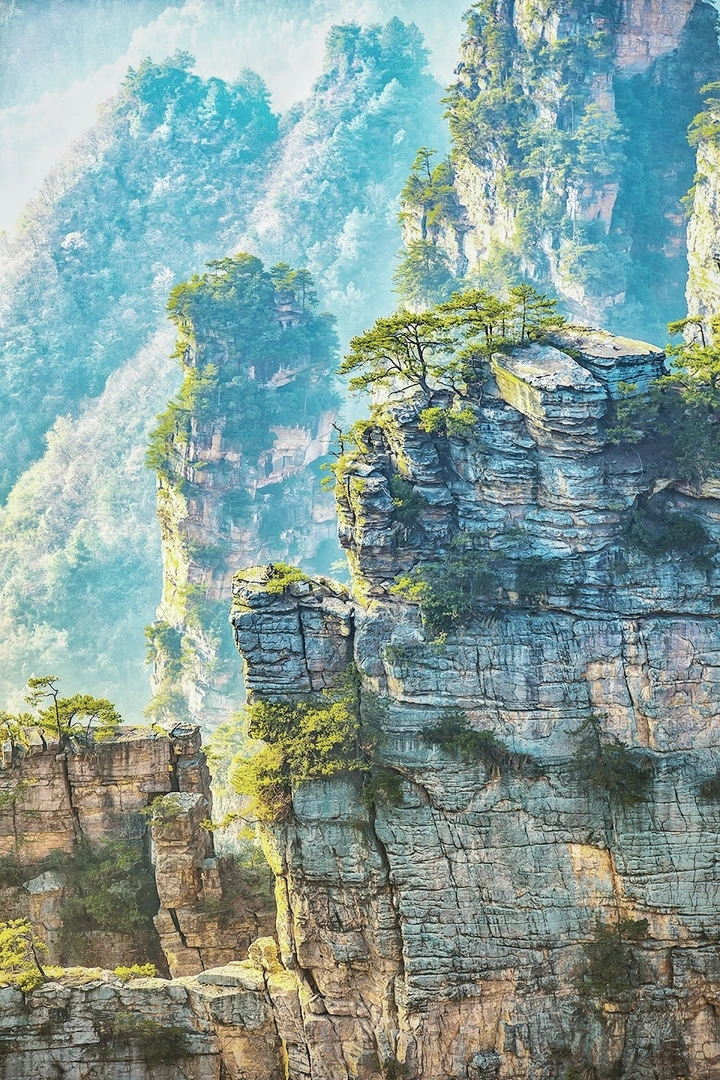 上帝的盆景