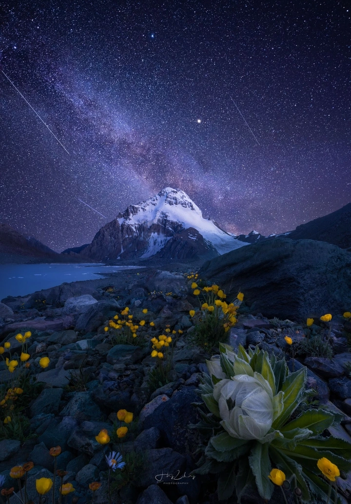 仰望星空