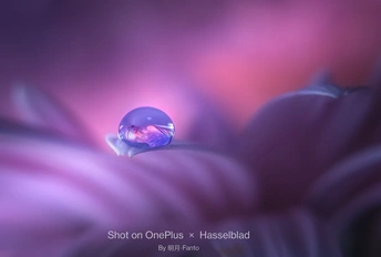 图片中心有一个紫色的花朵 其中有一个蓝色的水滴。