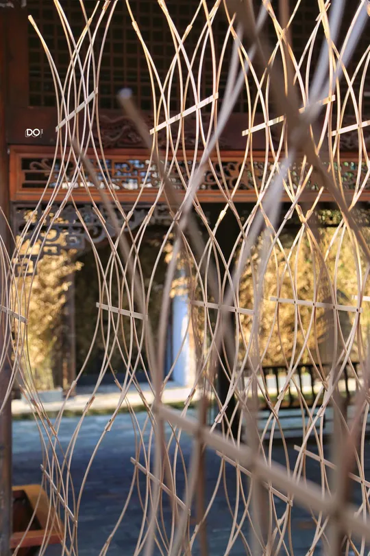 一个带有图案的窗口