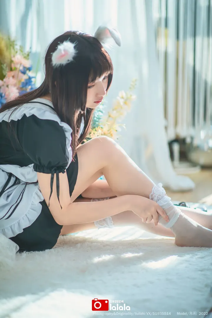 小女仆完结