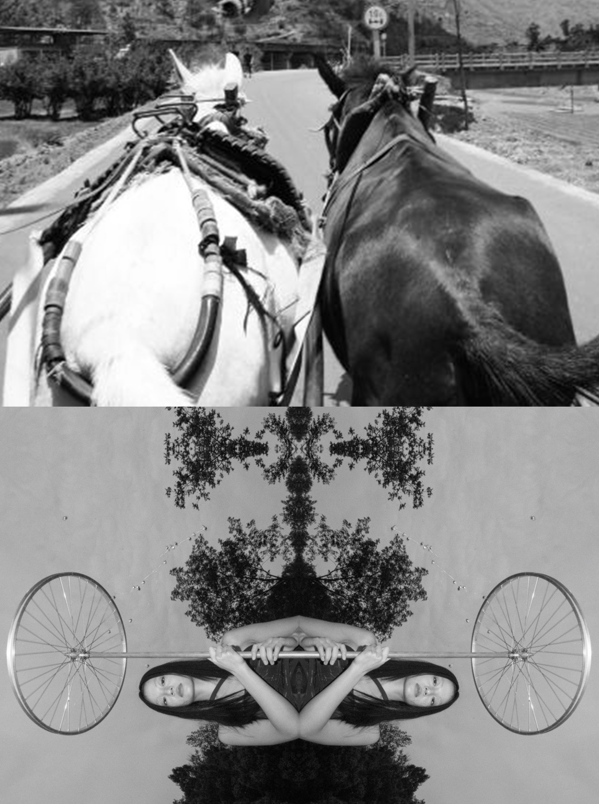 一张黑白照片 一个人骑自行车 一张女人骑马的照片