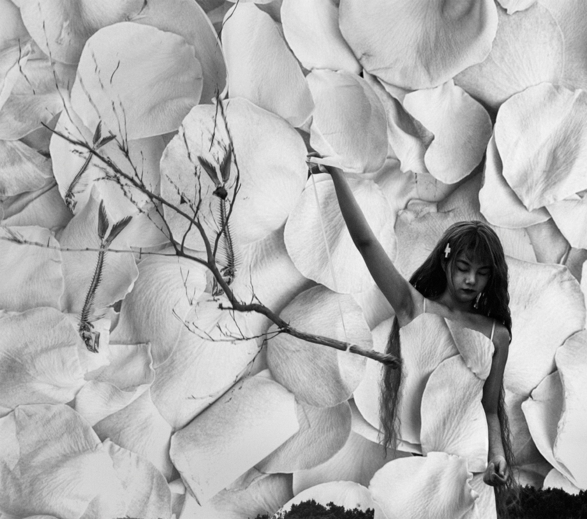 一张黑白照片 一位年轻女子穿着白色裙子站在一堵白色花墙前
