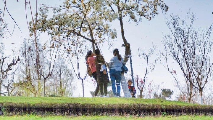 春又至