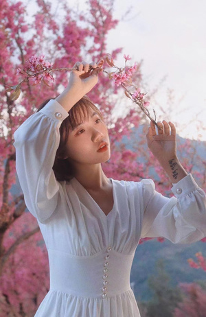 一位穿着白色连衣裙的女士 手里拿着一束粉红色花朵 站在盛开的大树前。
