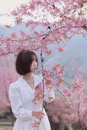 一位穿着白色连衣裙 手持粉色花朵 站在樱花树下的美丽女子