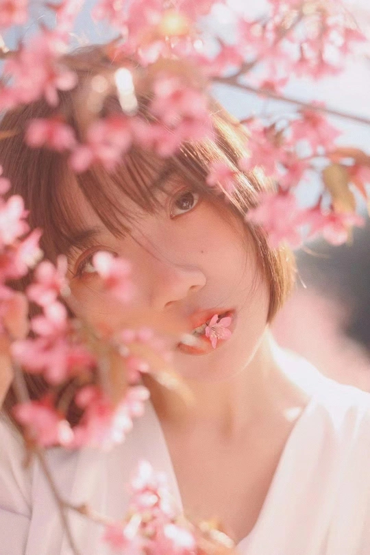 一棵樱花树下的粉色花朵女孩