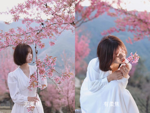 一位穿着白色连衣裙的女子拿着粉色花站在另一位穿着白色连衣裙的女子旁边 在盛开的花树下。