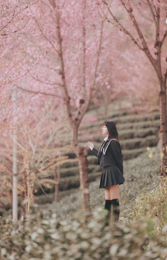 一位站在粉色花田中的女性