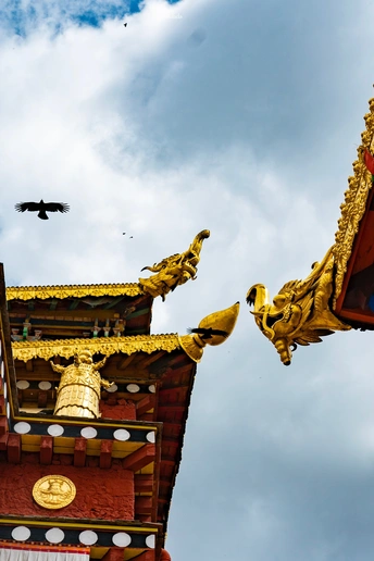 一座有鸟在天空飞翔的金塔