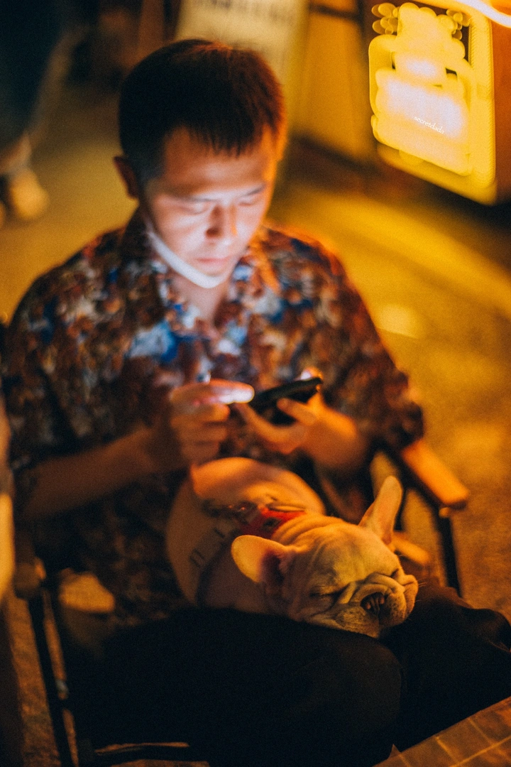一只狗的生活意见