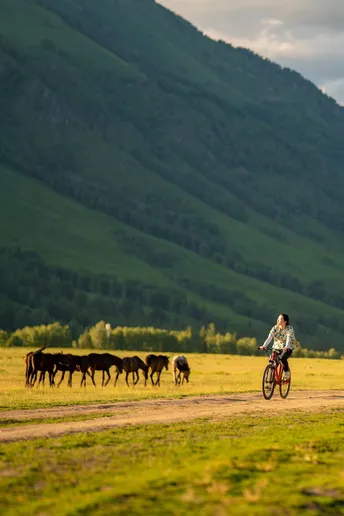 一位妇女骑着自行车沿着泥泞的小路 背景有一群牛 还有一个人骑着自行车在田里。