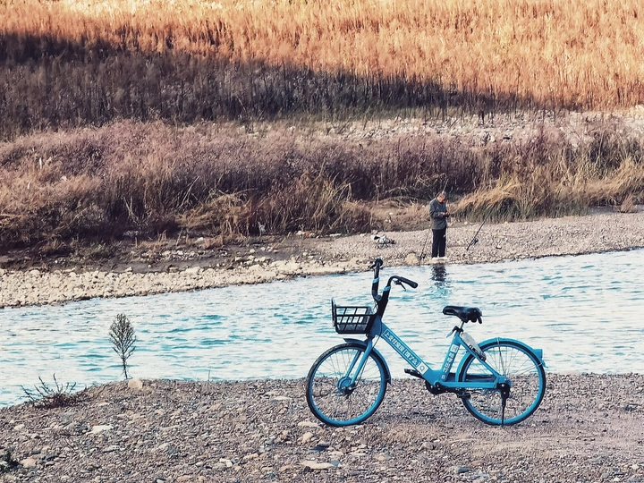 岸