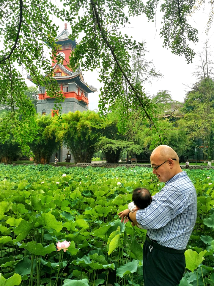 萌爸