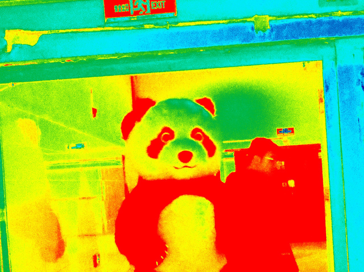 一个男人站在一只熊猫毛绒玩具旁边的照片