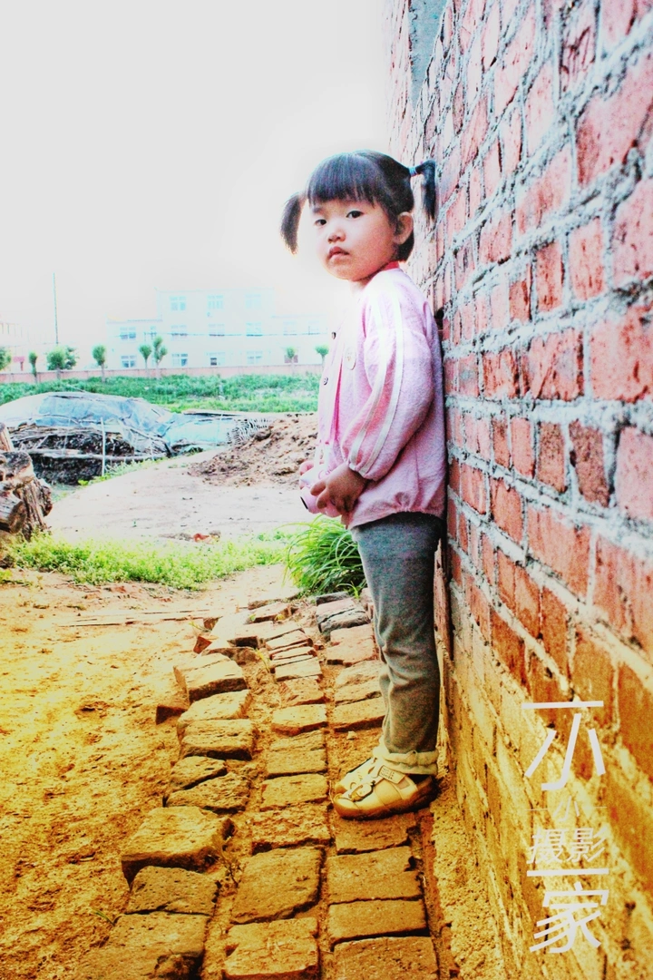 小小马摄影记