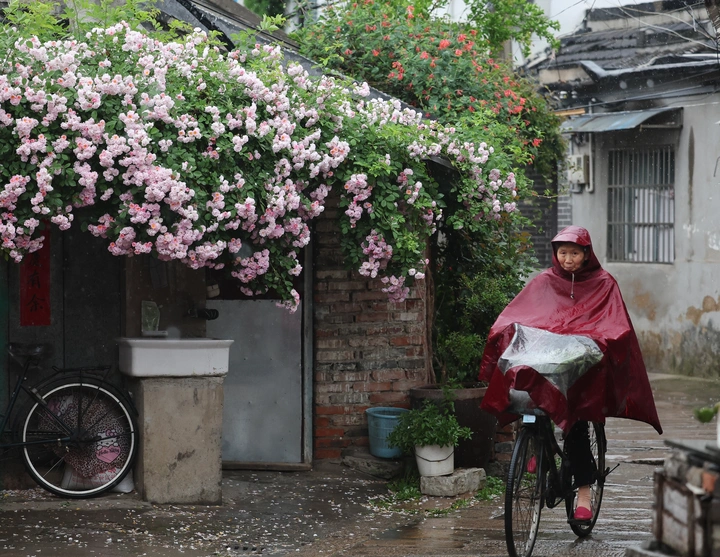 雨巷