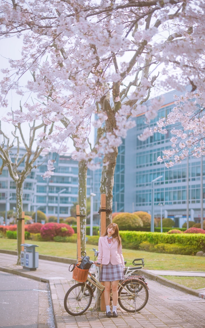 浪漫樱花