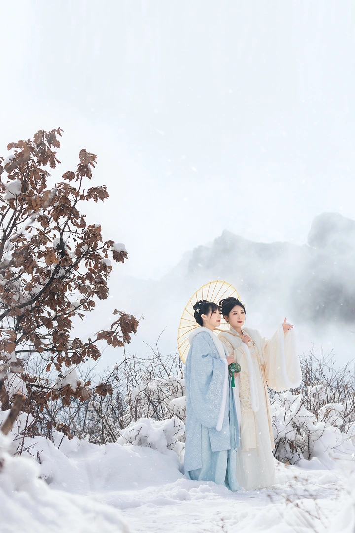赏雪雅趣