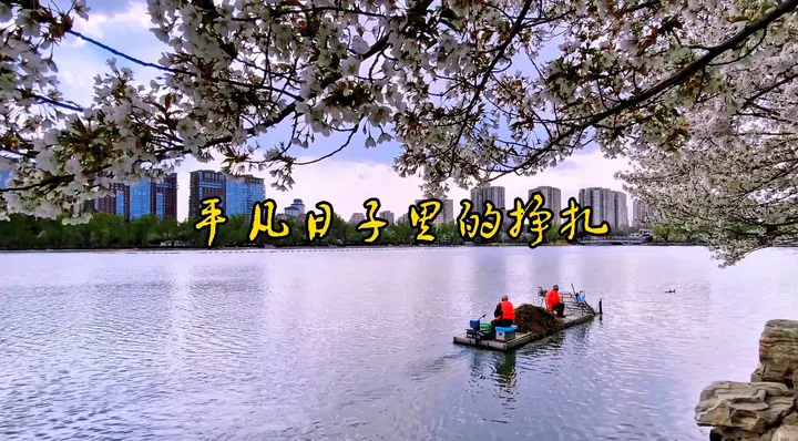 平凡的日子里挣扎