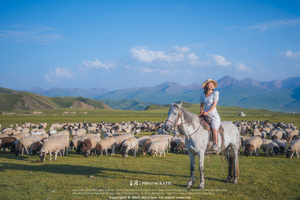 一位年轻女子骑在马上 在一片有大量白色羊群的田野中。