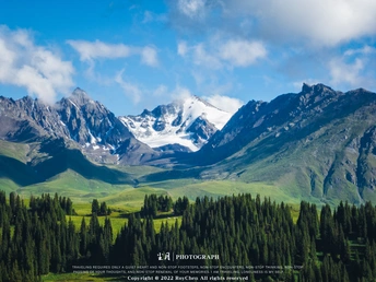 山谷的景观 有绿树和山脉作为背景