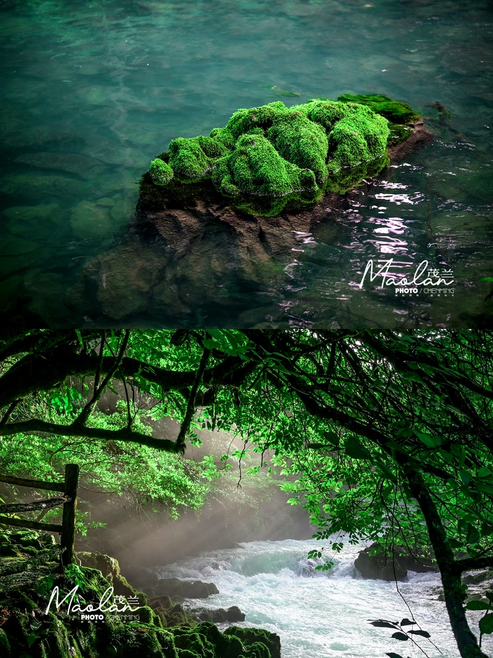 哈斯特地貌奇景：荔波茂兰自然保护区