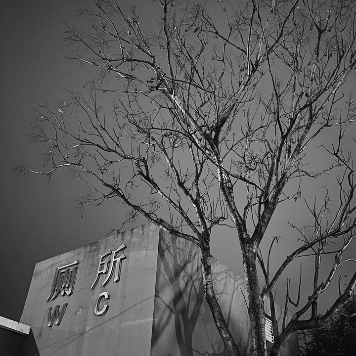 【失落垃圾桶】