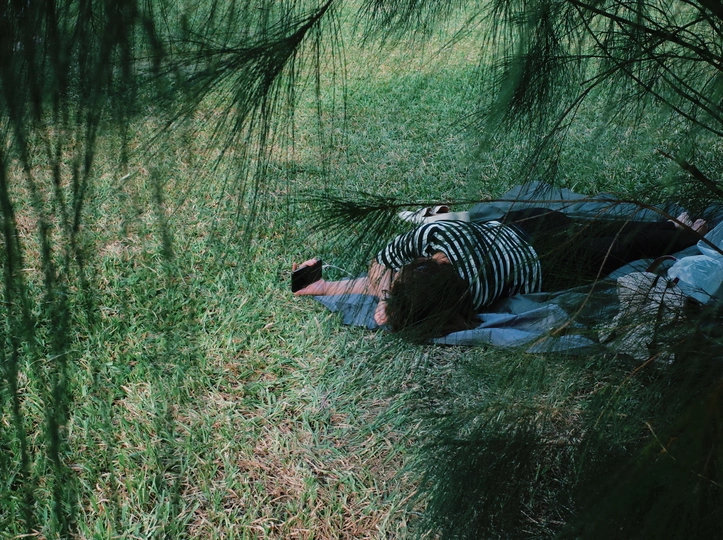 一个人躺在毛毯上 在树的阴影下 一只斑马在森林地区的草地上躺着。