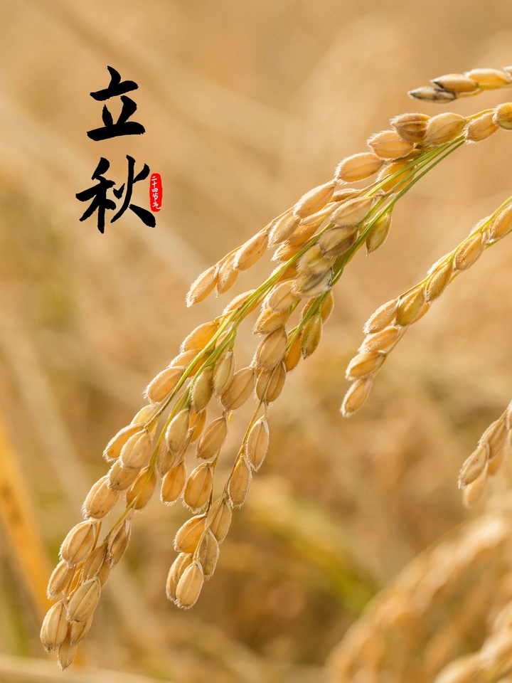 立秋