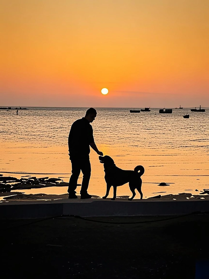 海边逗狗
