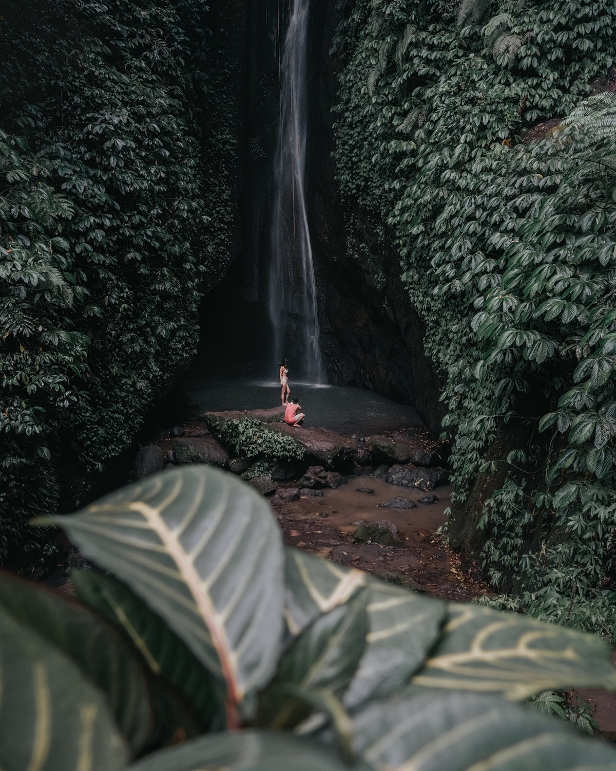 一位站在小瀑布周围植物环绕的红色雨伞女士