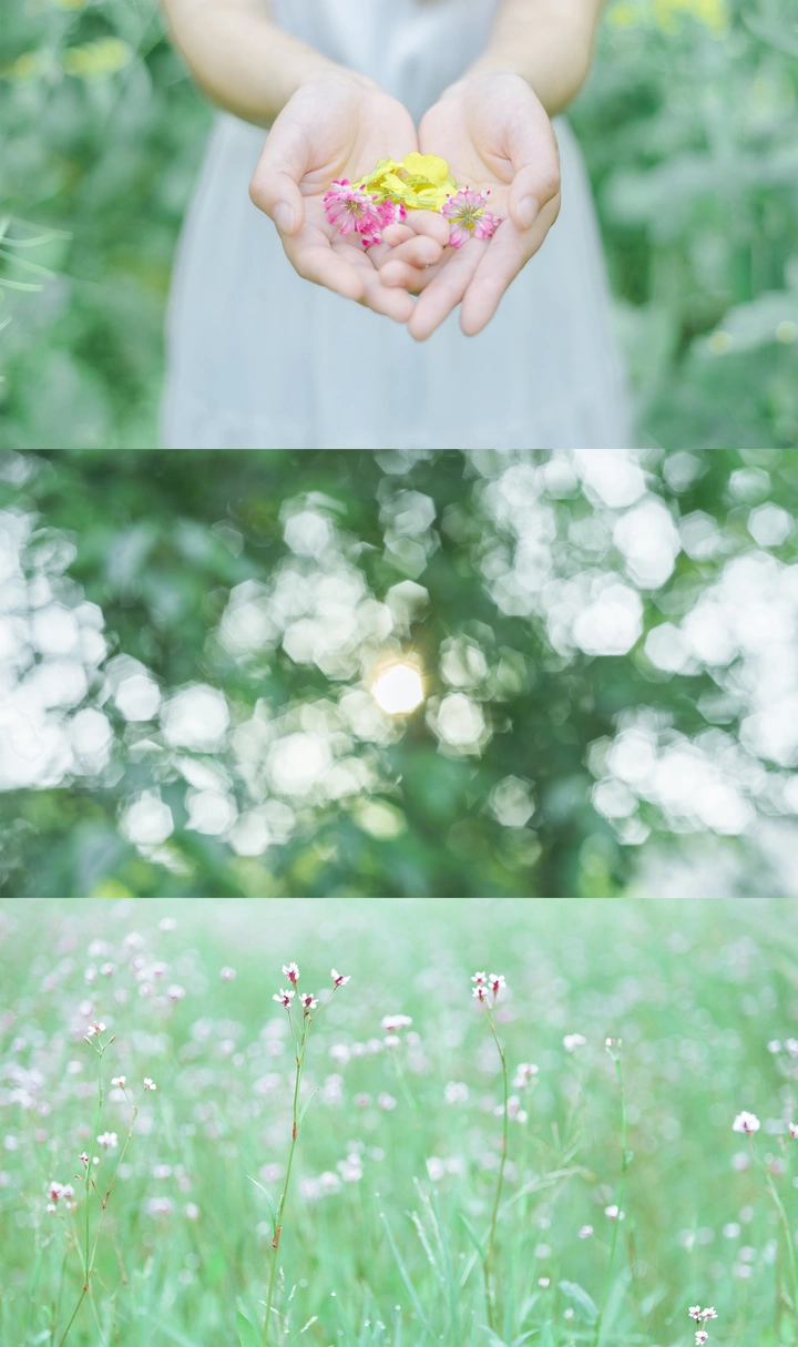 渐渐远去的夏天