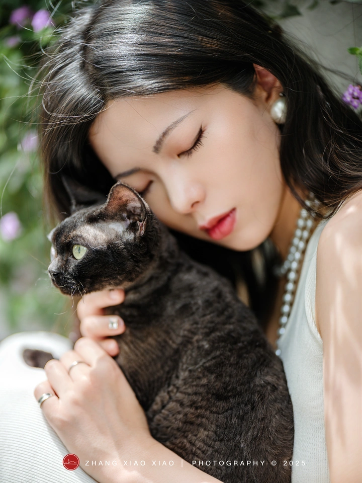 紫色马缨丹里的小猫咪