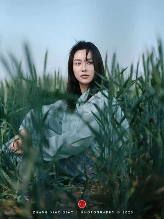 富士GFX麦田里的逆光人像