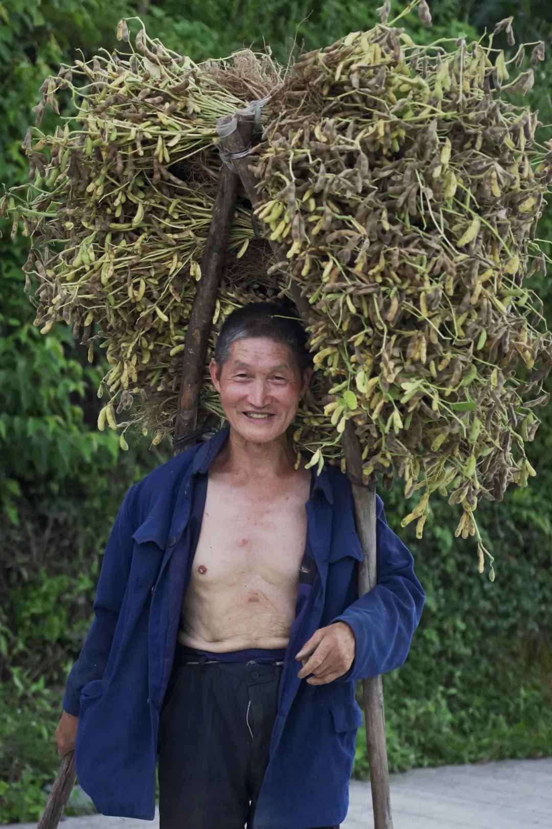 一个人头顶一捆木柴