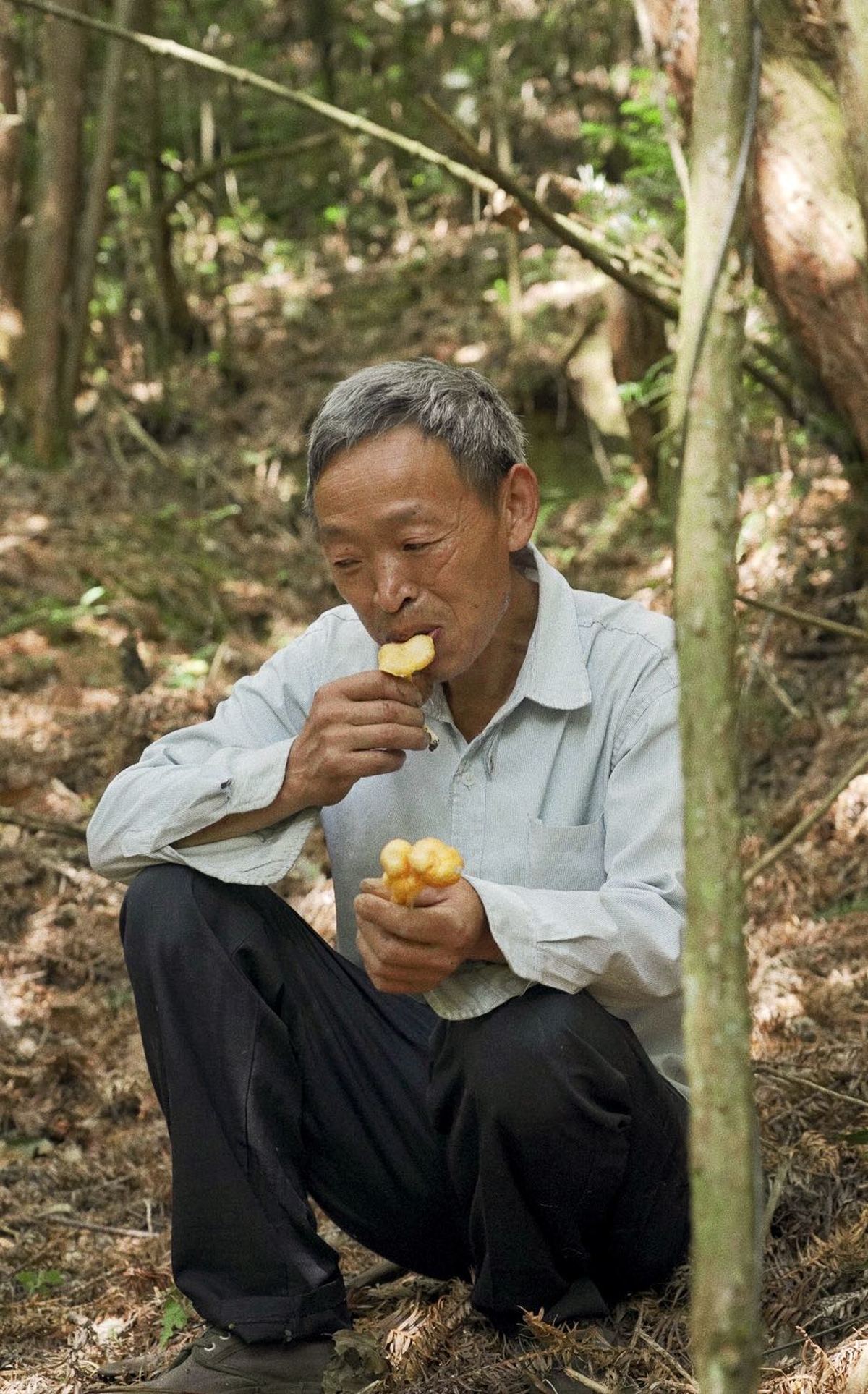 一个坐在树林里树旁吃东西的男人