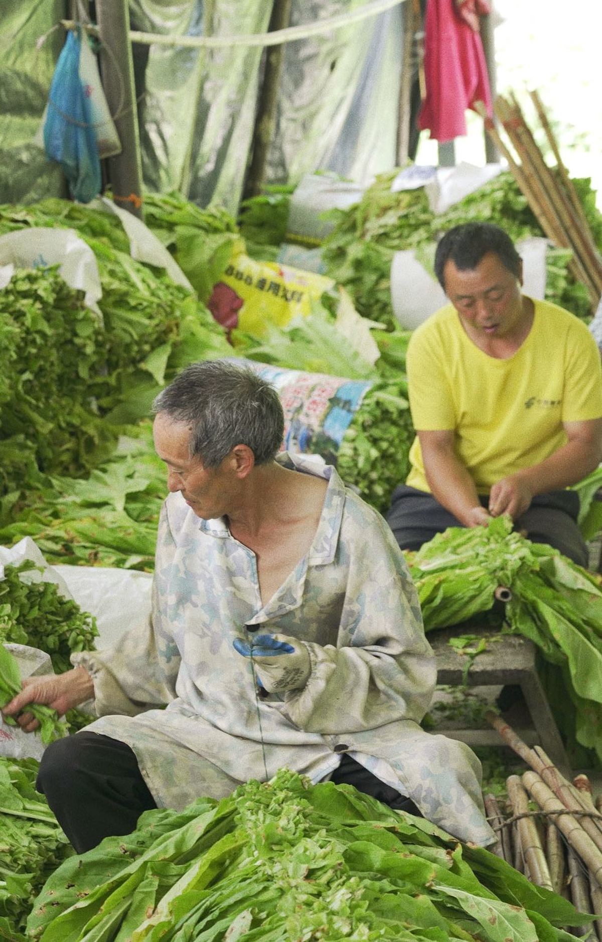 一位坐在市场堆放着生菜的男子