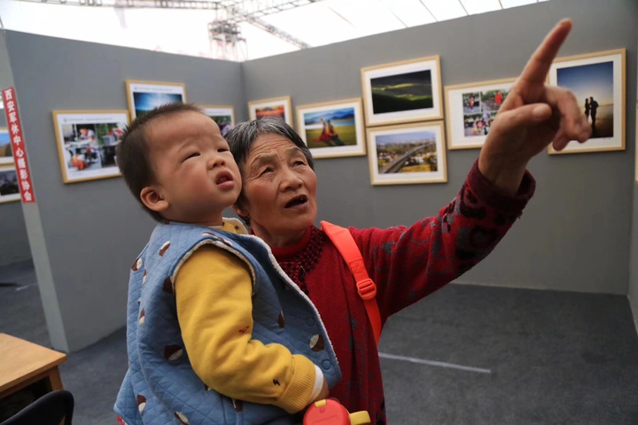 看影展