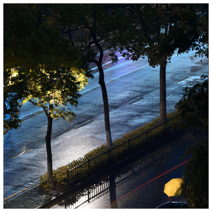雨夜