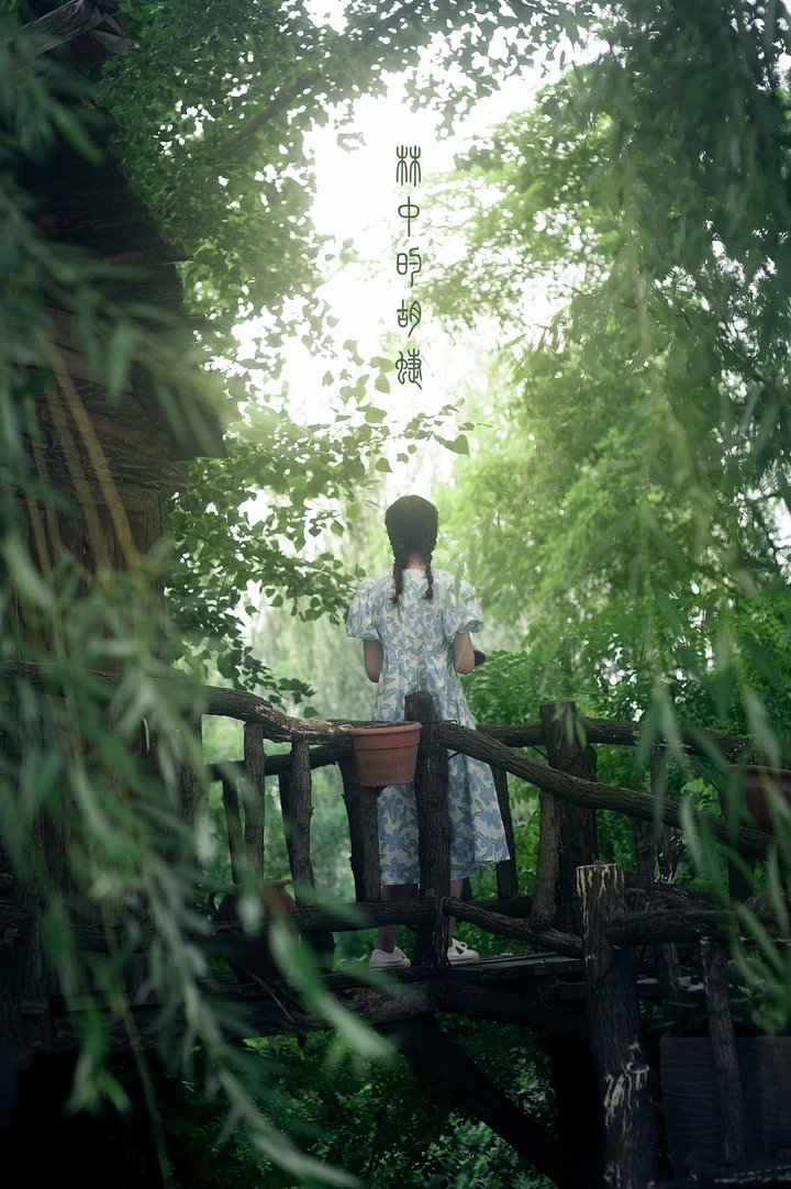 林中小屋