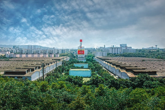前景有建筑和树木的大型场地