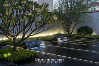雨夜中的湿漉漉的街道 有一些植物和一座大型建筑。