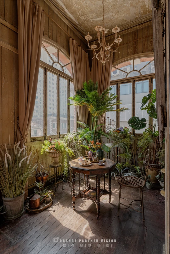 一个带有许多植物和大型窗户的房间