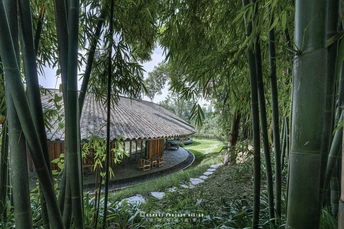 竹林中的一座小屋 背景是一条溪流和前景中的树木。